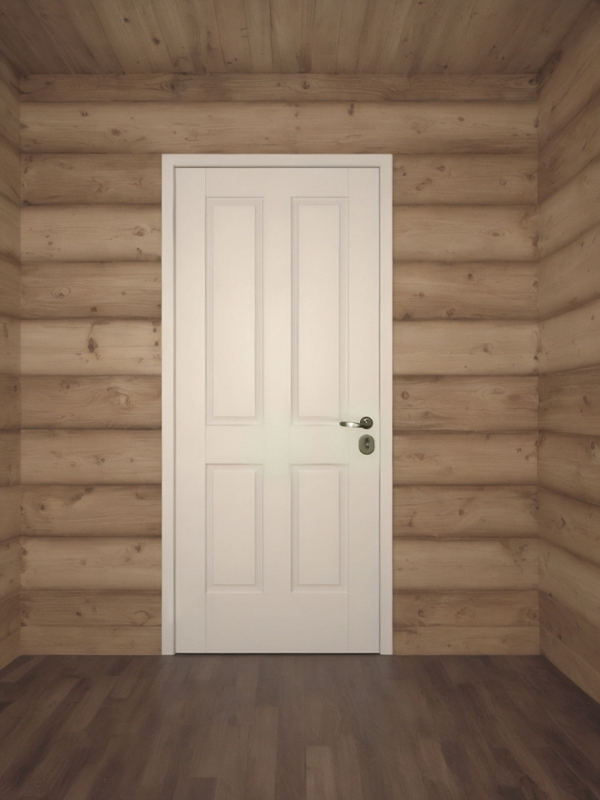 Дверь для загородного дома